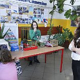 DSC03334