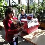 DSC03336