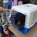 DSC03337