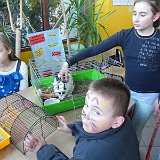 DSCN0766