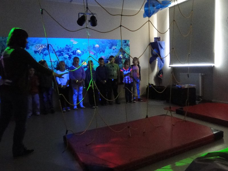 DSC07528