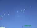 PICT0535