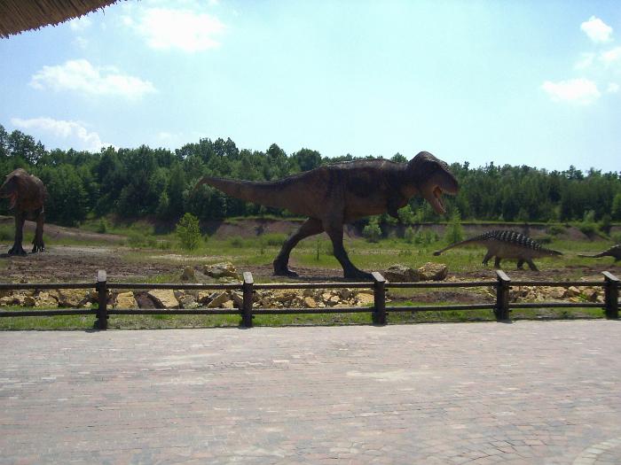 PIC07179