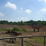 PIC07175