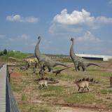PIC07176