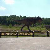 PIC07179