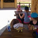 PIC07181