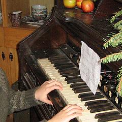 IMG_0517