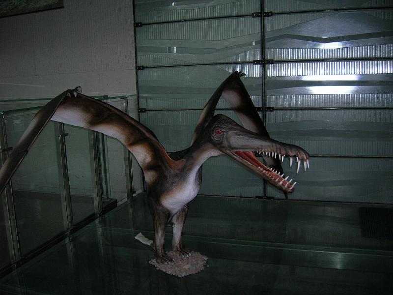 DSCN3484.JPG