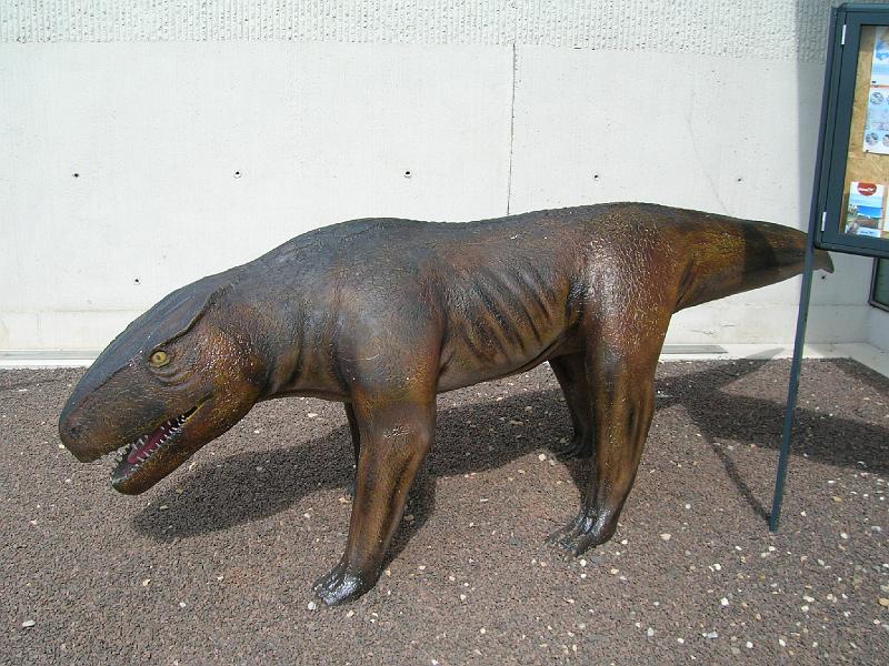 DSCN3486.JPG