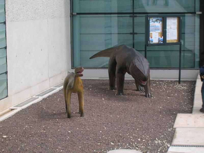 DSCN3490.JPG
