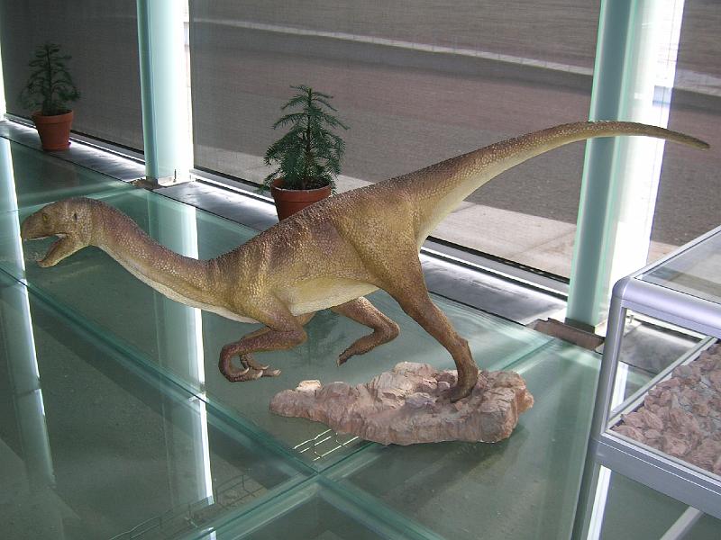 DSCN3491.JPG