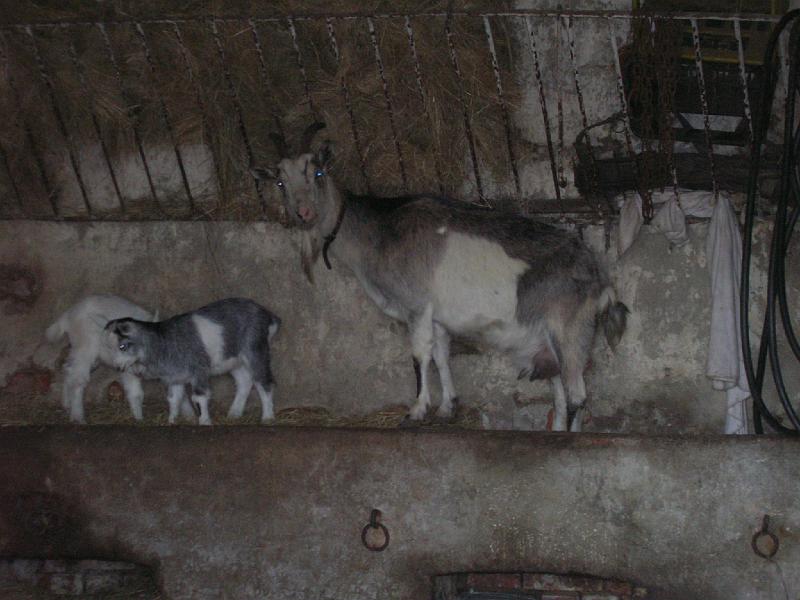 DSCN3515.JPG