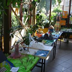 DSC07484