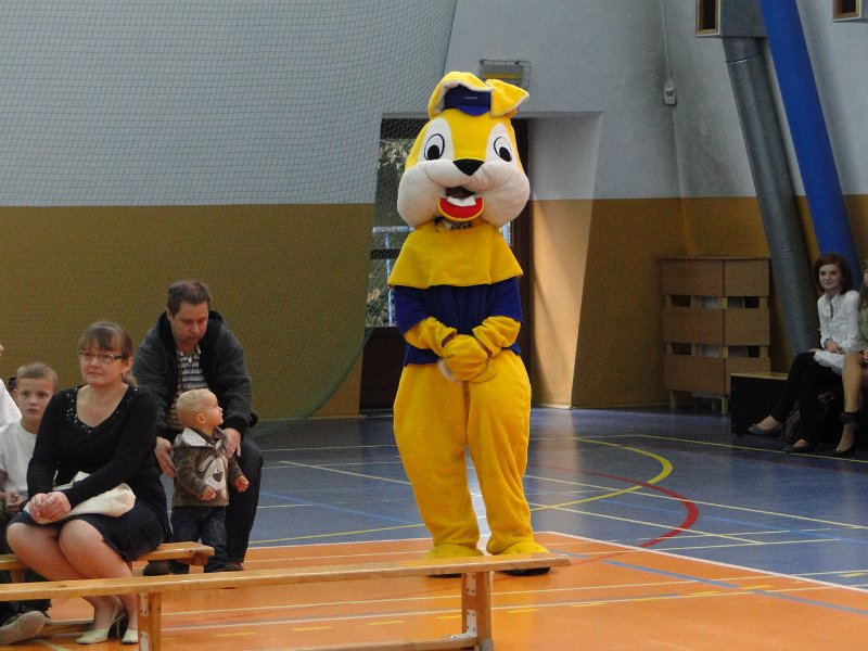 DSC02537