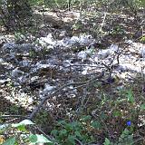 PICT0137